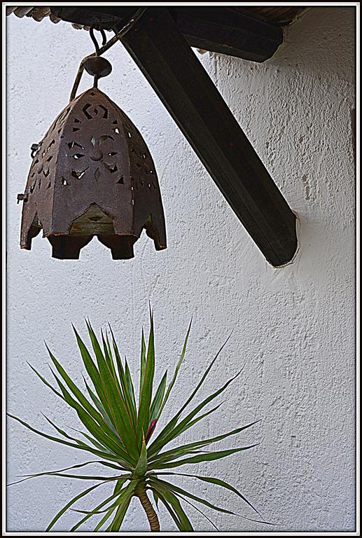 La Carrihuela Guest House อัลโกโดนาเลส ภายนอก รูปภาพ