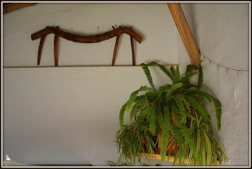 La Carrihuela Guest House อัลโกโดนาเลส ภายนอก รูปภาพ